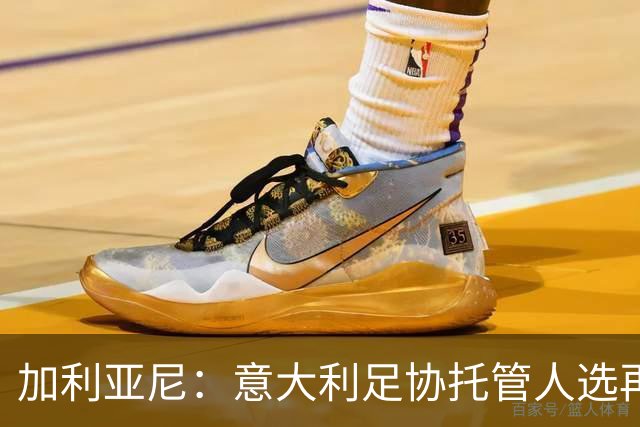 加利亚尼：意大利足协托管人选再度引发关注